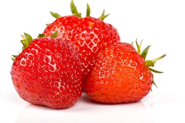 Eine rote Erdbeere — Stockfoto