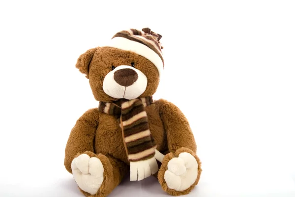 Teddy-bear isolated on a white background — Stock Photo, Image