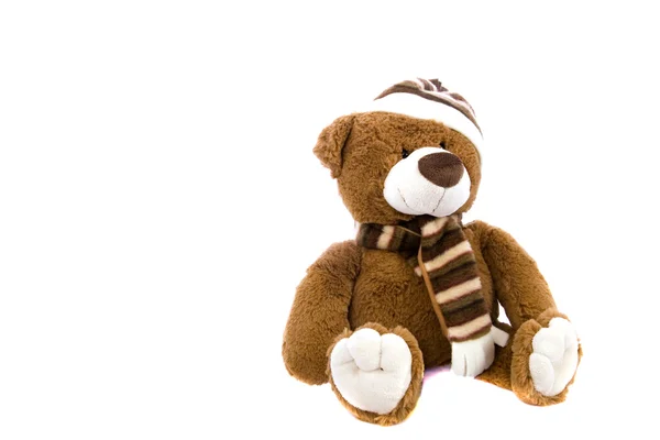 Teddy-beer geïsoleerd op een witte achtergrond — Stockfoto