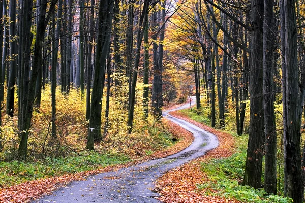Επαρχιακός δρόμος το φθινόπωρο — Φωτογραφία Αρχείου