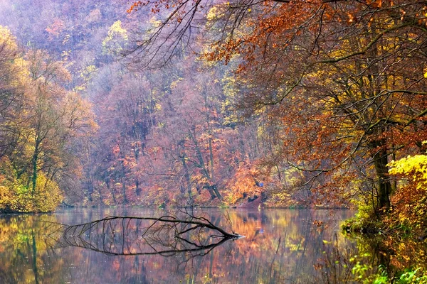 Осенний парк и озеро — стоковое фото