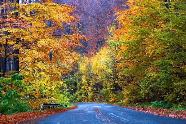 Venkovská cesta na podzim — Stock fotografie
