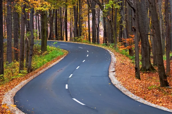 Carretera de campo en otoño —  Fotos de Stock
