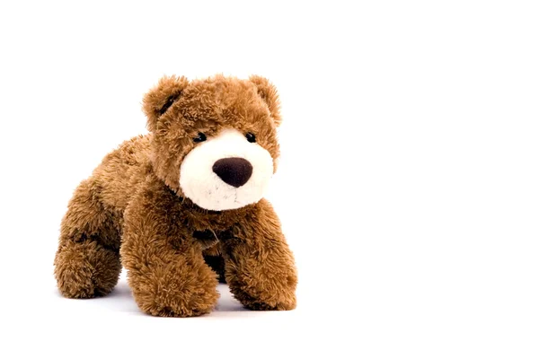 Тедди-медведь изолирован на белом фоне — стоковое фото