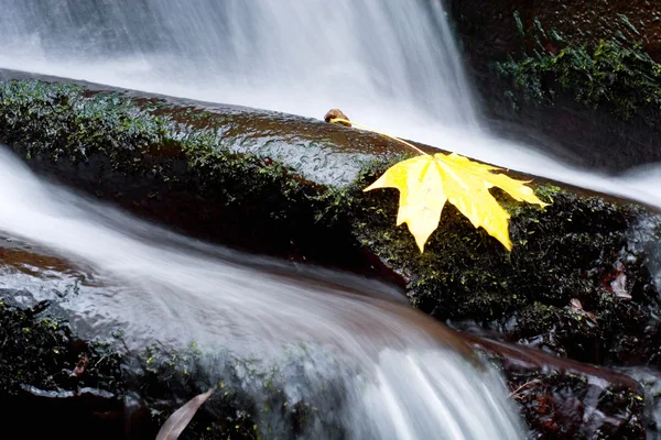 Красивый и спокойный водопад на природе — стоковое фото