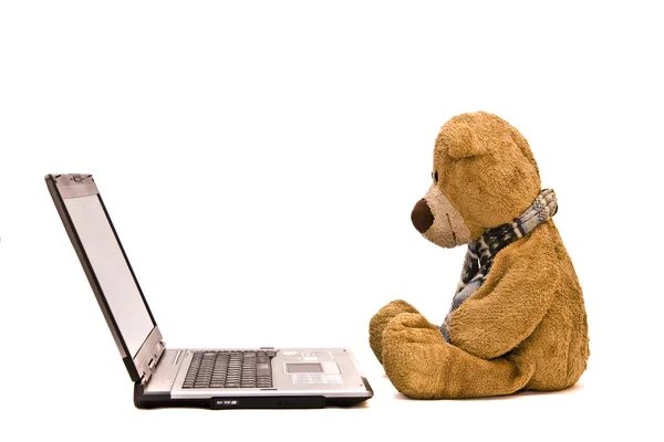 Urso de pelúcia e laptop prata moderna — Fotografia de Stock
