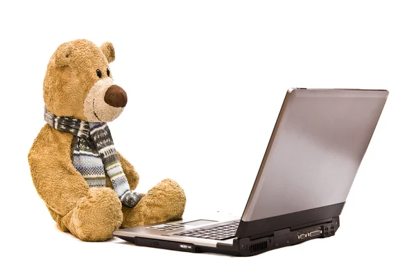 stock image Teddy Bear and modern silver laptop