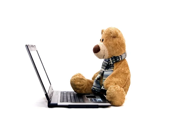 Teddybär und moderner silberner Laptop — Stockfoto