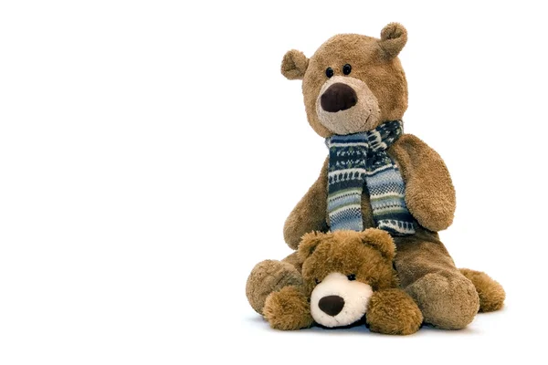 Teddybear — Stock Photo, Image