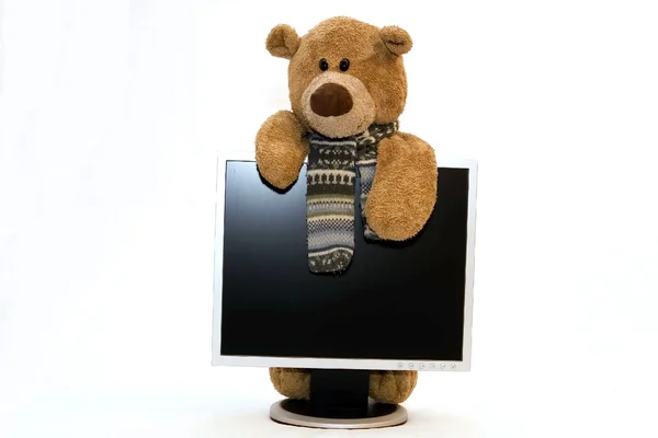 Teddy Bear and modern silver laptop — Stock Photo, Image