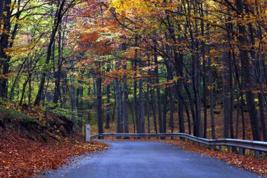 Sonbaharda kır yolu