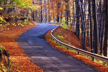 Sonbaharda kır yolu