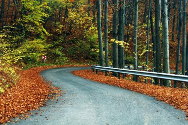 Sonbaharda kır yolu