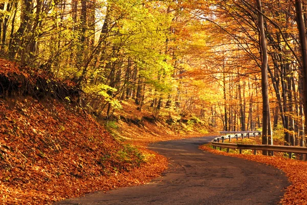 Заміська дорога восени — стокове фото