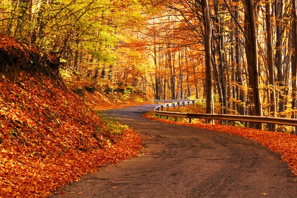 Загородная дорога осенью — стоковое фото