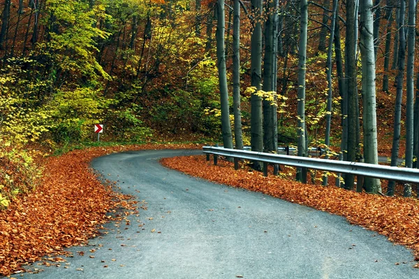 Venkovská cesta na podzim — Stock fotografie
