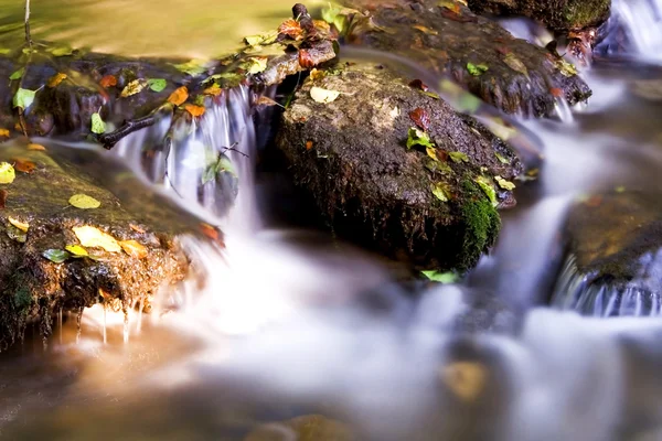 Őszi levelek egy patak — Stock Fotó