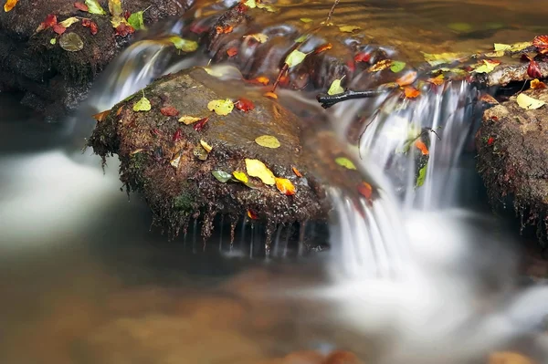 Feuilles d'automne dans un ruisseau — Photo