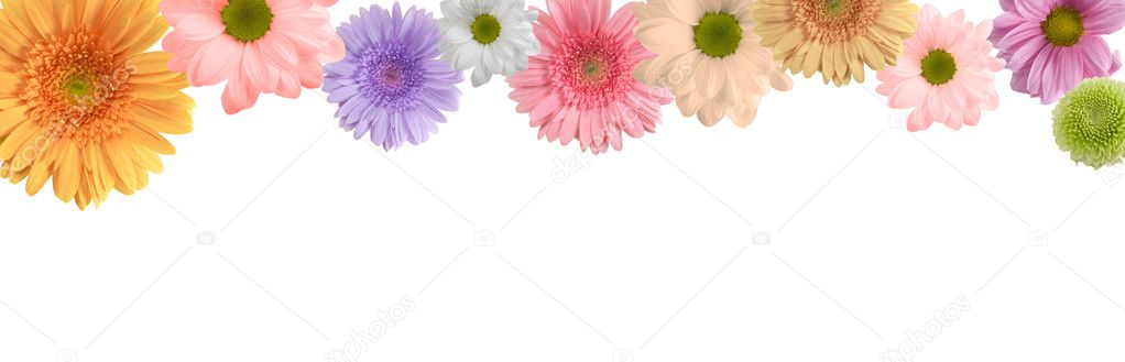 Coloured flowers Stock Photo by ©raferto 2090169