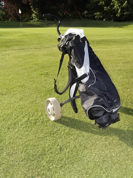 高尔夫球的袋 — 图库照片