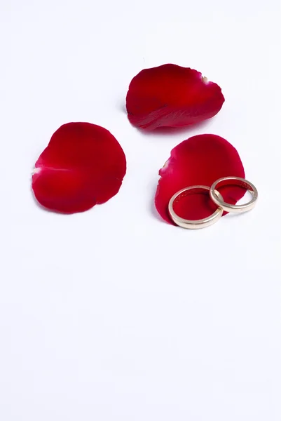 Красные лепестки и кольца — стоковое фото