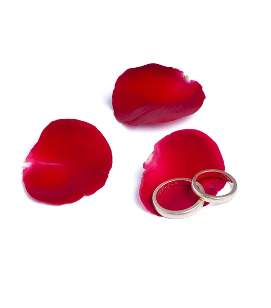 Stock image Red petals and rings