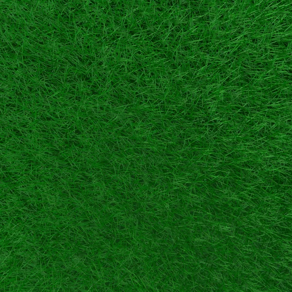 Green Grass Background — Stock Photo, Image