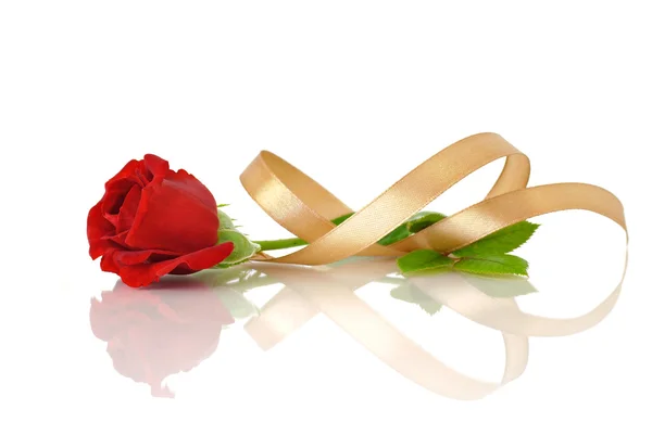Rosa roja y cinta de seda dorada —  Fotos de Stock