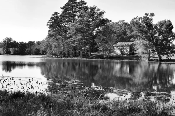 Na rybníku — Stock fotografie