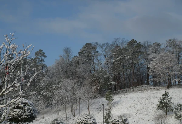 Winter hill — Stock Photo, Image