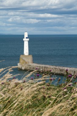 Lighthouse clipart