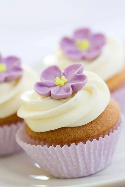 Cupcakes roxos — Fotografia de Stock