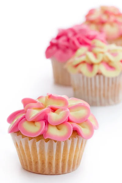 Mini cupcake di fiori — Foto Stock