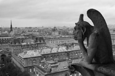 Gargoyle bakan paris