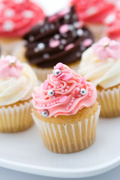 Cupcake sortiment — Stockfoto