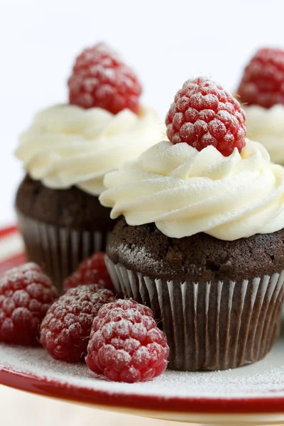 Cupcakes de chocolate e framboesa — Fotografia de Stock