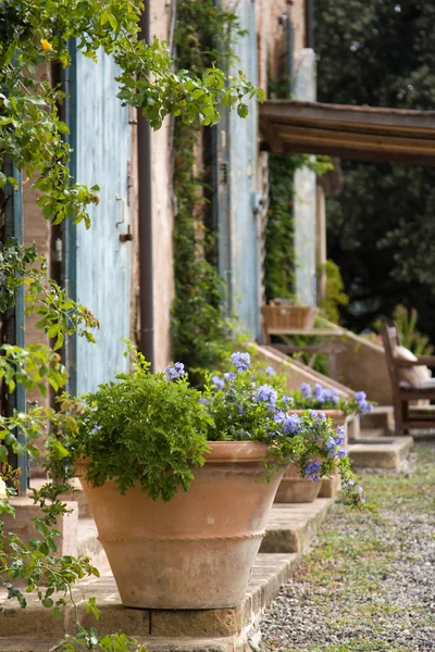 Pflanzkübel vor einem toskanischen Bauernhaus — Stockfoto
