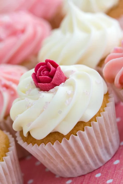 Cupcake assortiment — Stockfoto