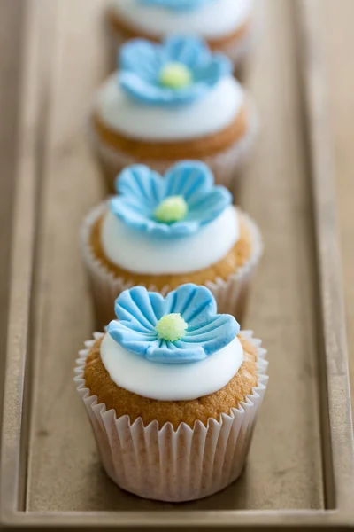Blå mini blomma cupcakes — Stockfoto