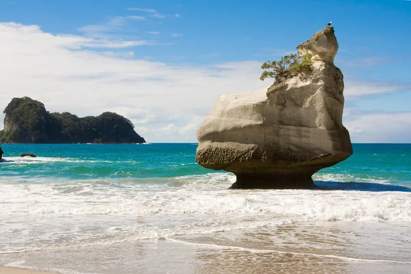Cathedral Cove Beach — Stock fotografie