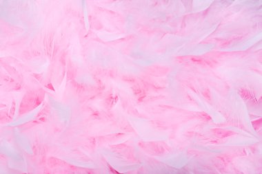 Pink feather boa background clipart