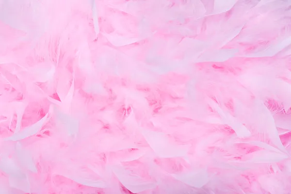 Pink feather boa achtergrond — Stockfoto