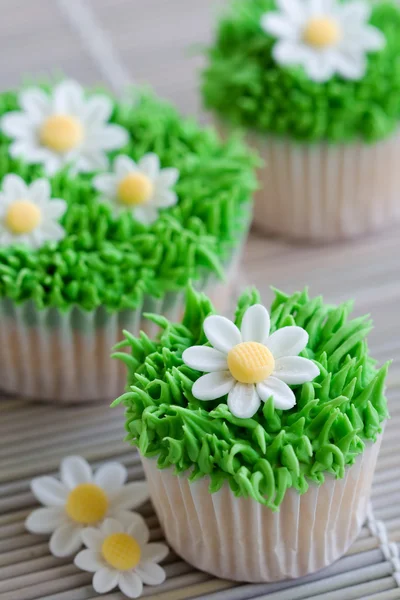 Daisy cupcakes — Stockfoto