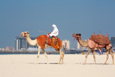 jumeirah Beach, dubai devesi
