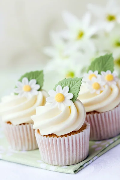 Daisy cupcakes — Stockfoto