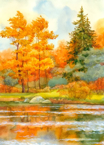 Jesienią drewna — Zdjęcie stockowe
