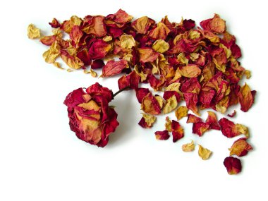 Dry Rose clipart