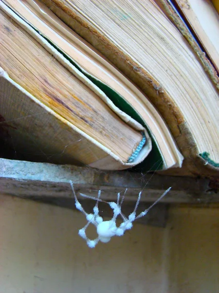 stock image Spider and books