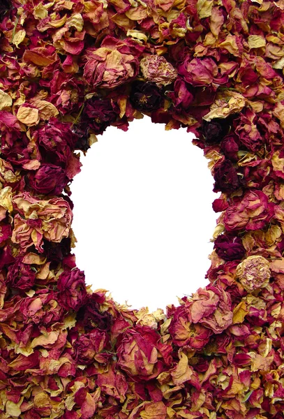 Frame van rozen — Stockfoto