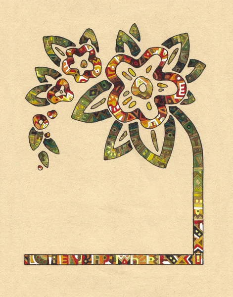 Flor ornamental — Fotografia de Stock